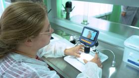 Учёные Вавиловского университета разработали интегрированную защиту сельхозкультур